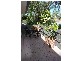 Nerang QLD 4211