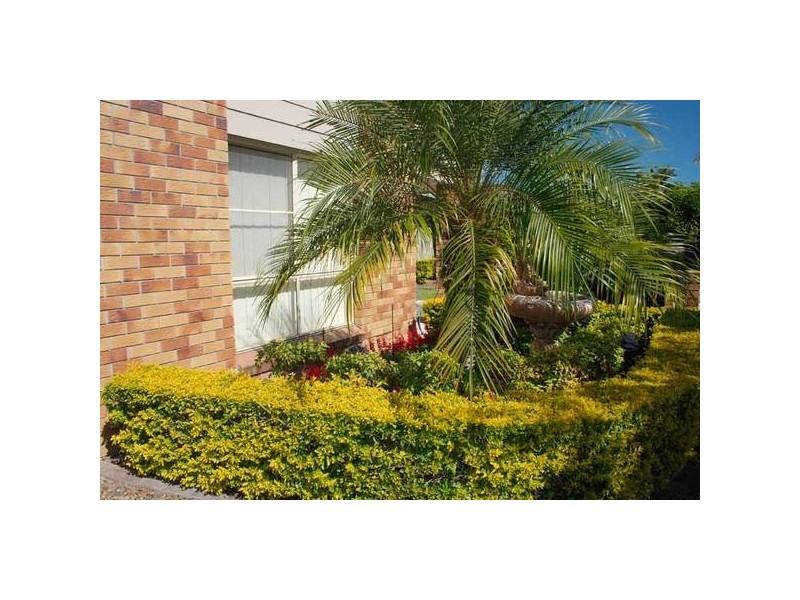 Nerang QLD 4211