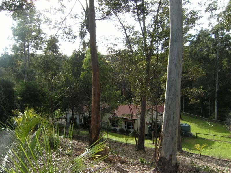 13 The Oval Drive, Mount Nathan QLD 4211