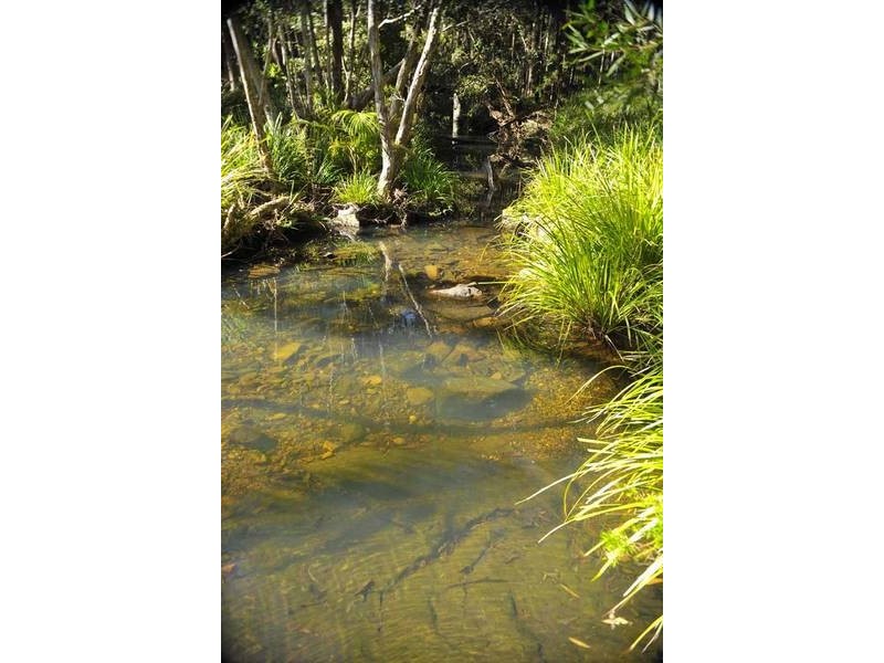Mount Nathan QLD 4211