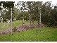 Nerang QLD 4211