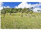 Wongawallan QLD 4210