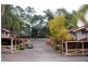 Nerang QLD 4211