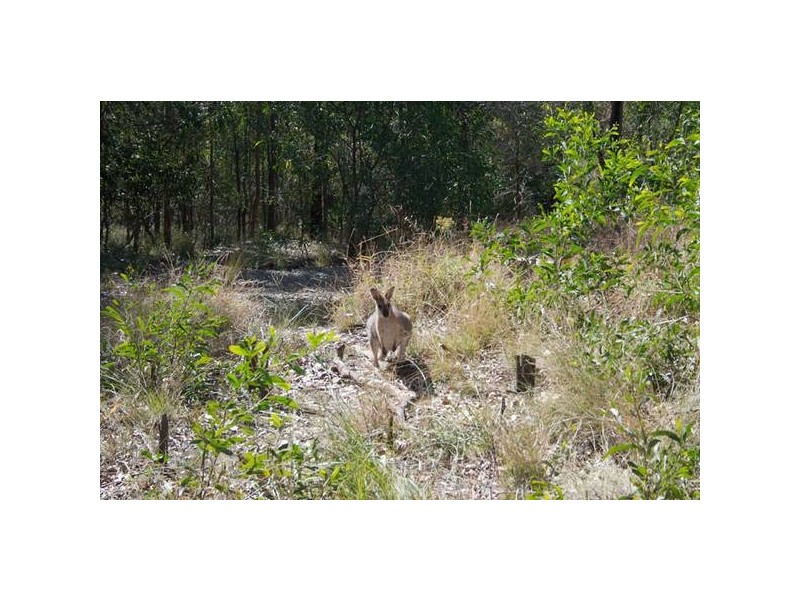 Highland Park QLD 4211