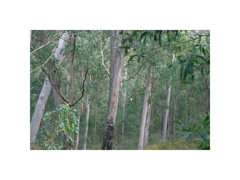 Mount Nathan QLD 4211