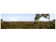 Gaven QLD 4211
