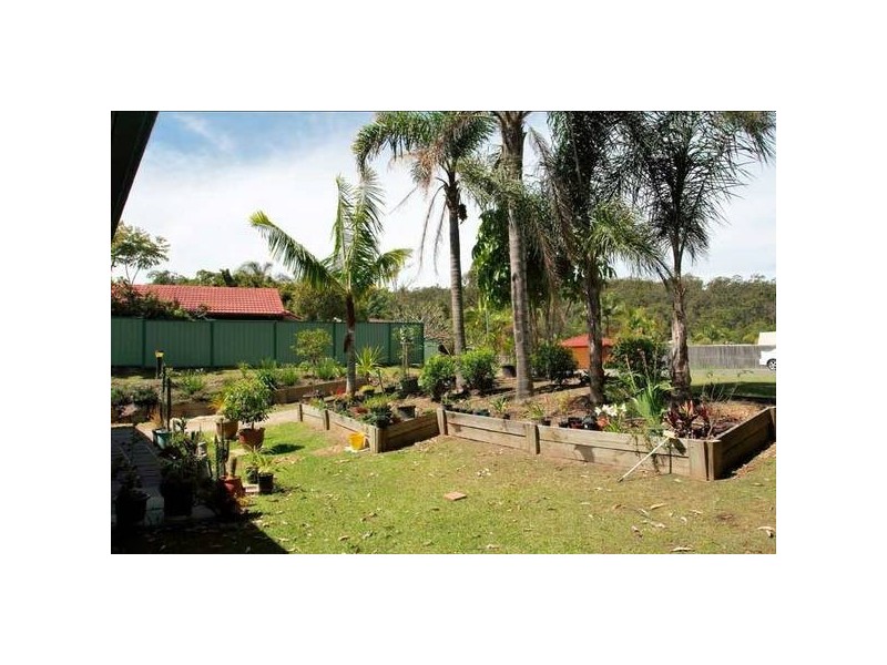 Nerang QLD 4211