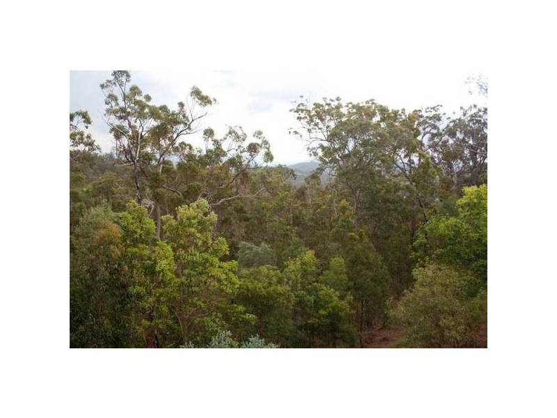 Highland Park QLD 4211