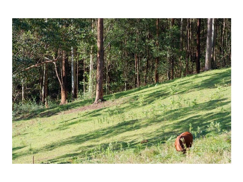 26 Arunta Drive, Mount Nathan QLD 4211