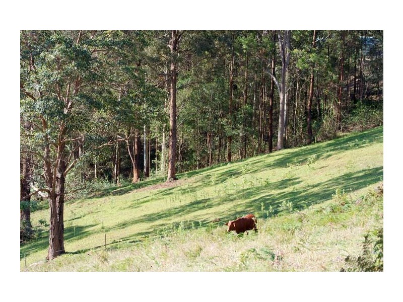 26 Arunta Drive, Mount Nathan QLD 4211