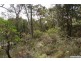 Nelson Bay NSW 2315