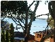 Salamander Bay NSW 2317