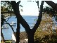 Salamander Bay NSW 2317