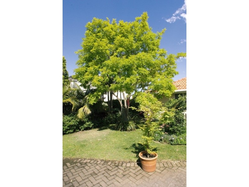 Salamander Bay NSW 2317