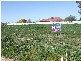 46 Rosemont Crescent, Shepparton VIC 3630