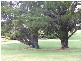 Shepparton VIC 3630