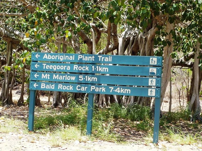 10 Sallows Street, Pallarenda QLD 4810