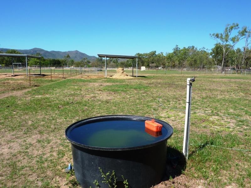 81A Hammond Way, Kelso QLD 4815