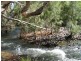 Lot 162,  Collins Weir Road, Springmount Road, Dimbulah QLD 4872