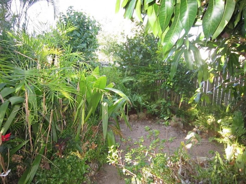 19 Baralga Street, Cranbrook QLD 4814