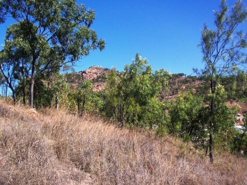 22 Stirling Drive, Castle Hill QLD 4810