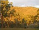 Lot 162,  Collins Weir Road, Dimbulah QLD 4872