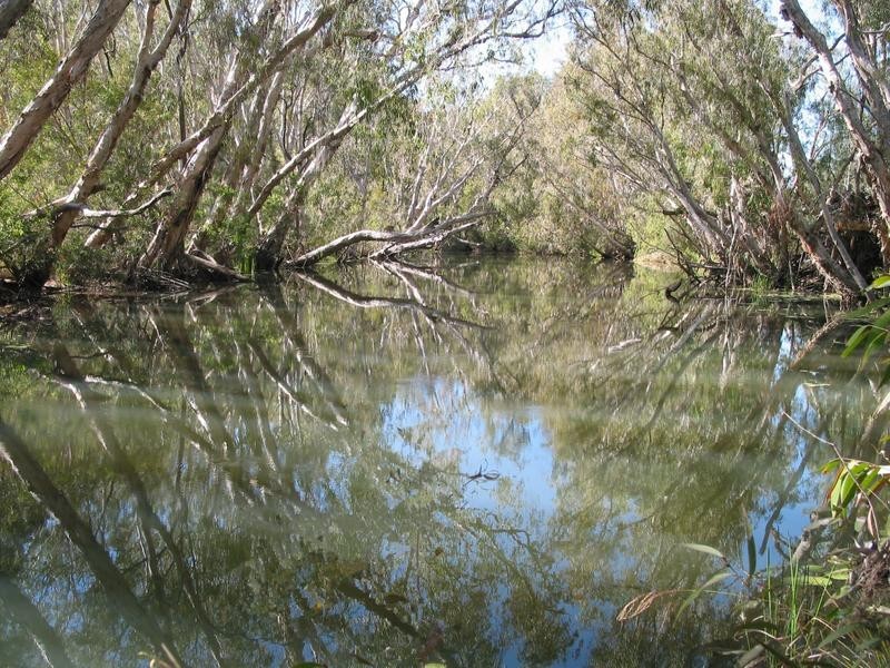 Lot 162,  Collins Weir Road, Dimbulah QLD 4872