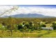 91 Paul James Drive, Nome QLD 4816