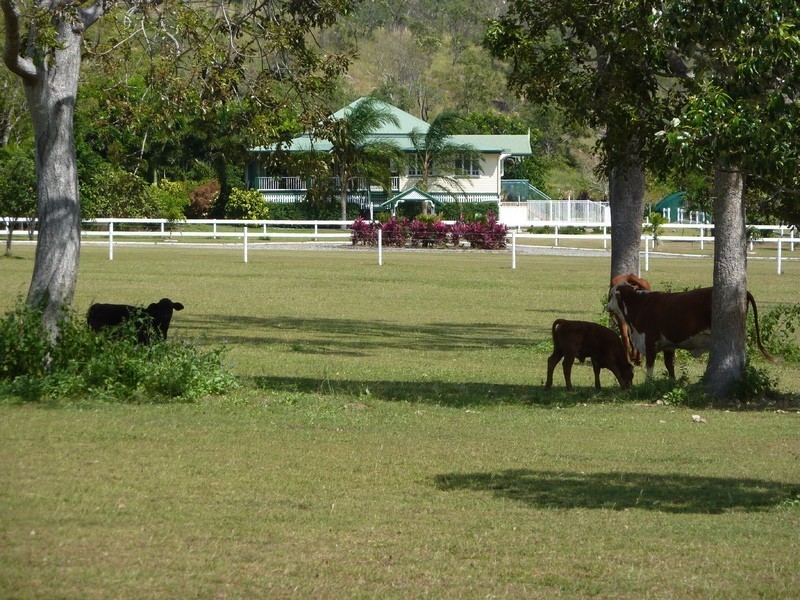 91 Paul James Drive, Nome QLD 4816