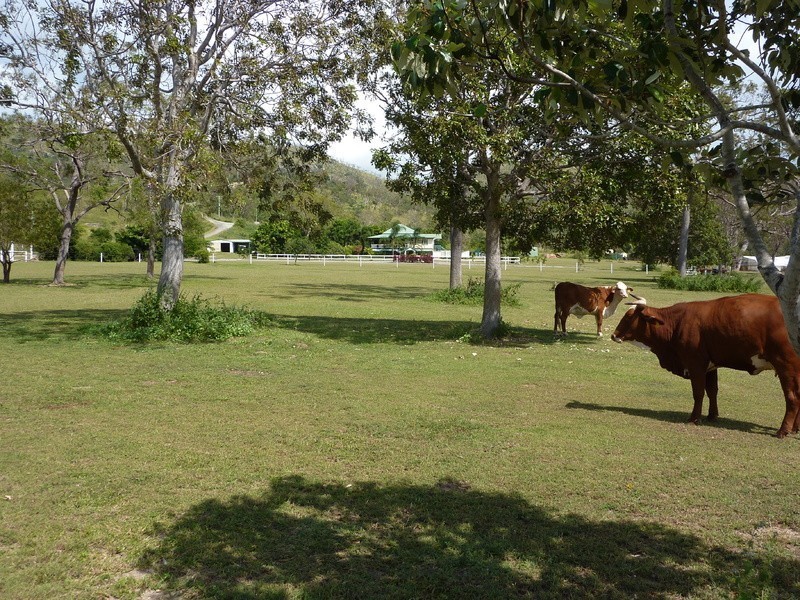 91 Paul James Drive, Nome QLD 4816