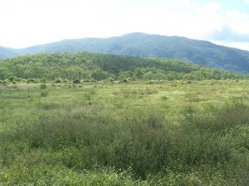 Woodstock Rd., Giru QLD 4809