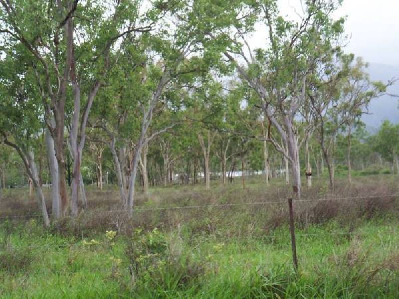 124 Booth Rd. ROCKY SPRINGS, Brookhill QLD 4816