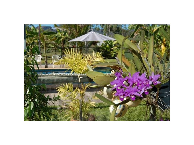 Oldenburg Place, Kelso QLD 4815