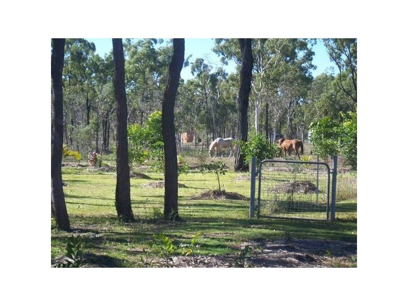 9 Holstein St., Black River QLD 4818