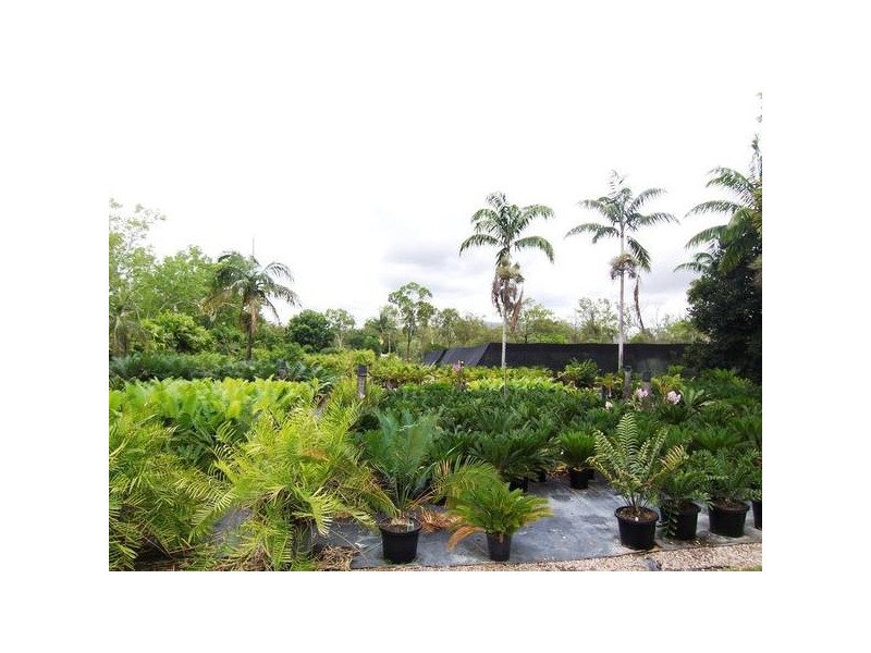 2 Palamino Place, Kelso QLD 4815