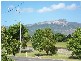 22 Abbott Street, Oonoonba QLD 4811