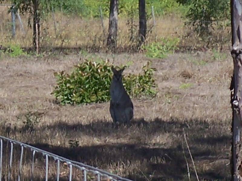 78 Hammond Way, Kelso QLD 4815