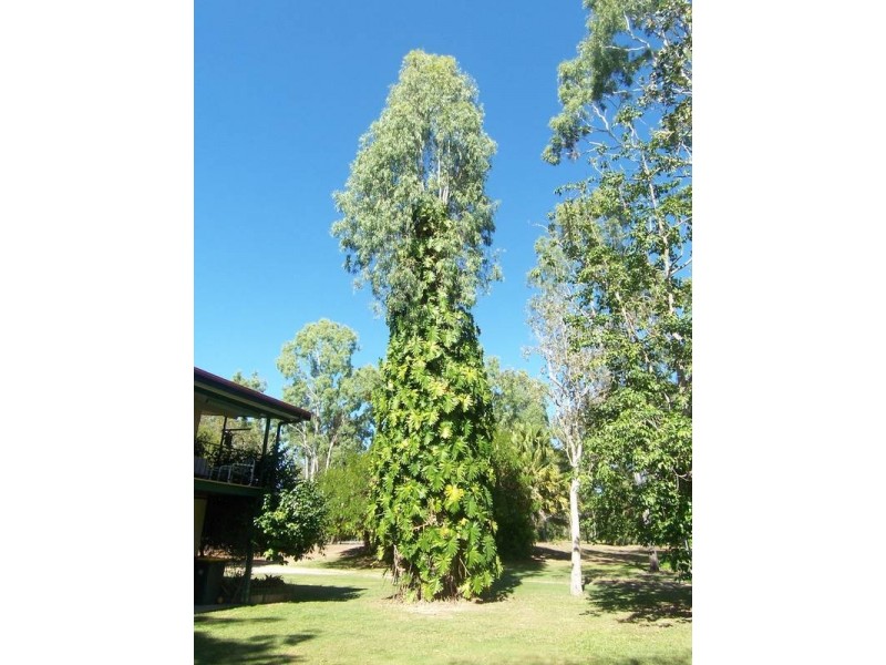 78 Hammond Way, Kelso QLD 4815