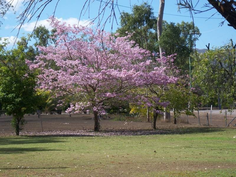 78 Hammond Way, Kelso QLD 4815