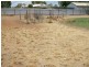 82 Daintree St, Cloncurry QLD 4824