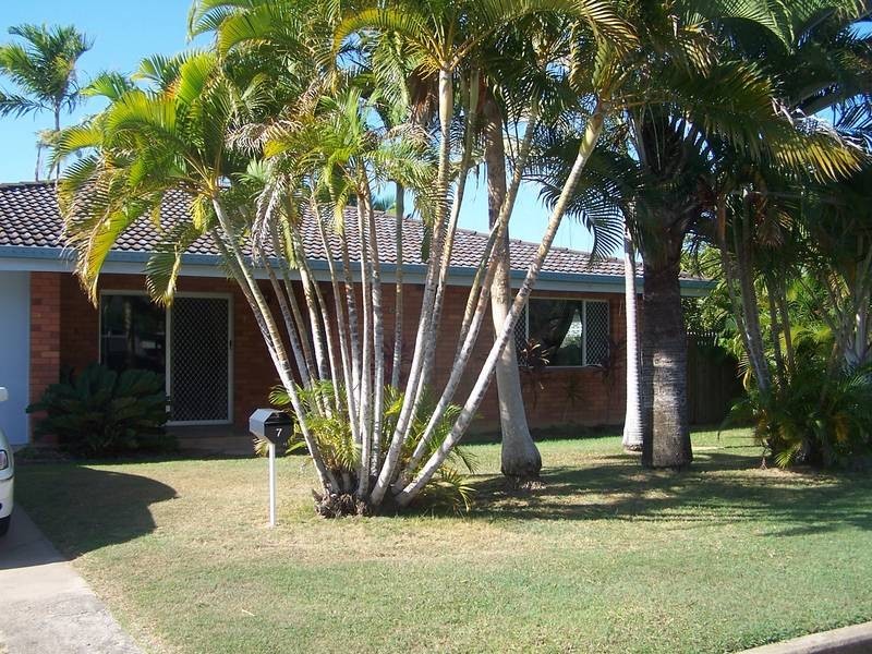 Kirwan QLD 4817