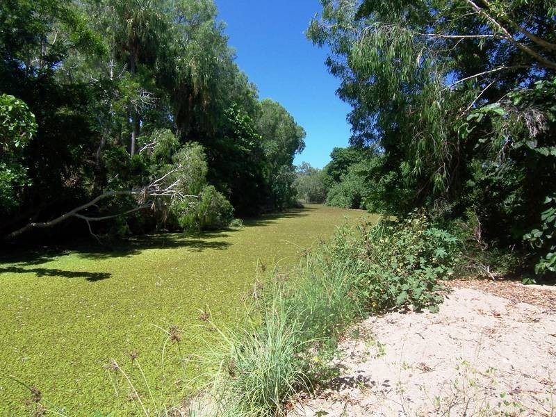 5 Noyland Road, (first right off Williams Road), Alligator Creek QLD 4816