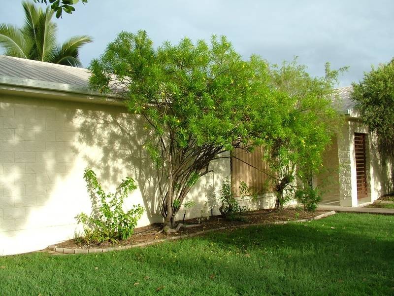 30 Honeysuckle Drive, Annandale QLD 4814