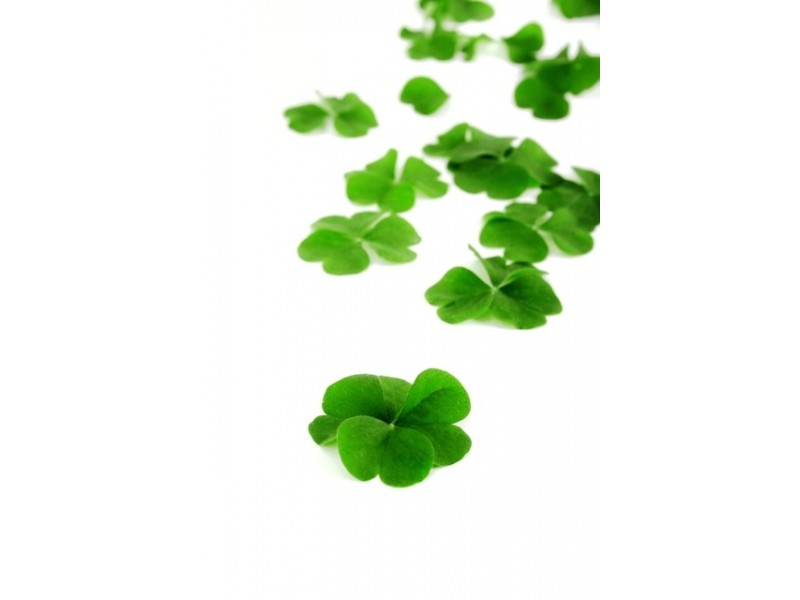 22 Clover Way, Nairne SA 5252