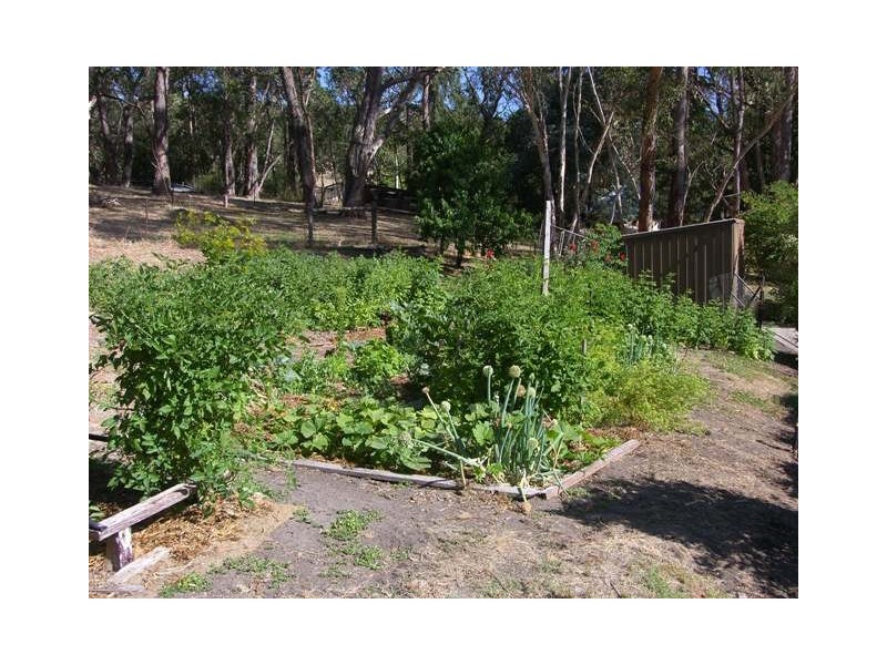 Lot 2 Illert Road, Mylor SA 5153