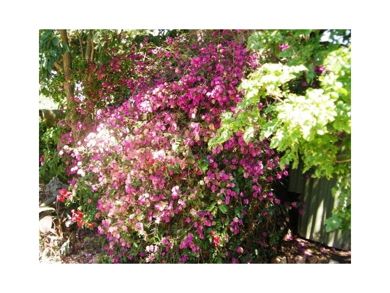 Pursell Road (Bugle Ranges), Wistow SA 5251