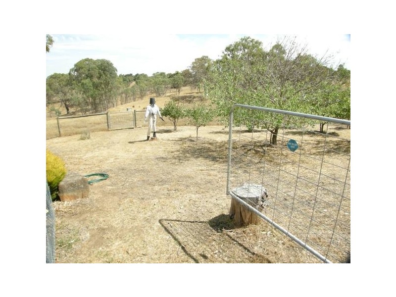 Lot 7,  Hender Road, Wistow SA 5251