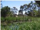 Lot Sec 195,  Hawthorn Road, Echunga SA 5153
