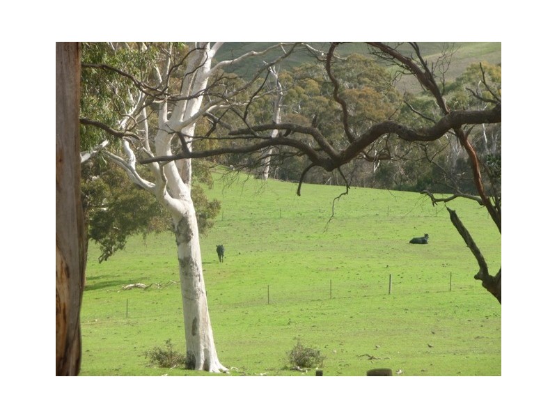 Lot Sec 195,  Hawthorn Road, Echunga SA 5153