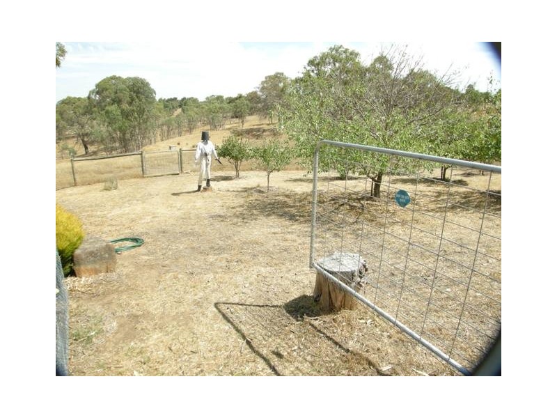 Lot 7 Hender Road, Wistow SA 5251